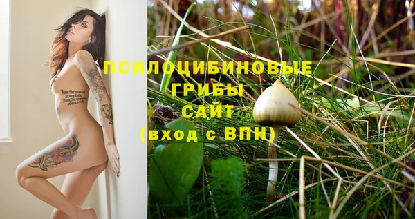 марки nbome Новодвинск