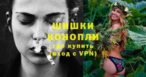 МДПВ Новозыбков