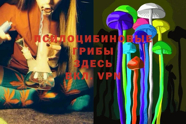 а пвп мука Няндома