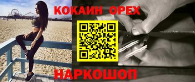 гидропоника Гатчина