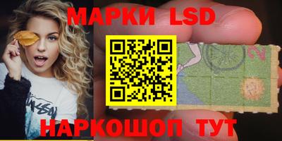 гидропоника Гатчина