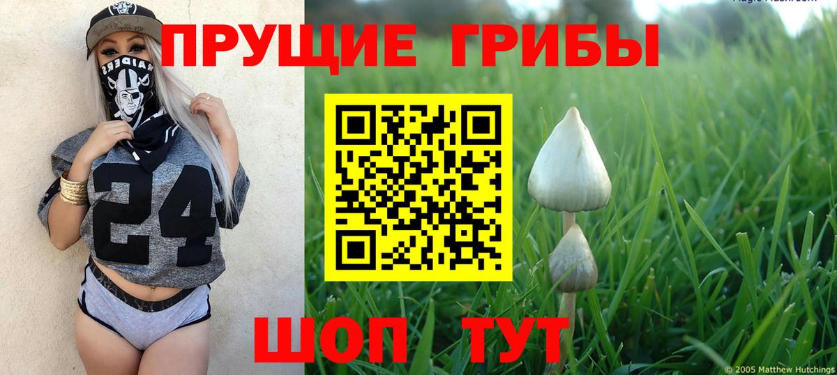 Миасс  Галлюциногенные грибы мицелий  Вход с VPN 